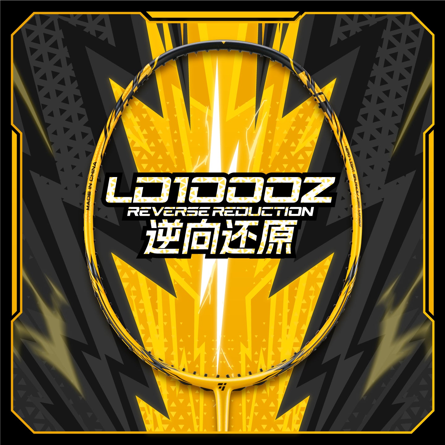 LD-1000z